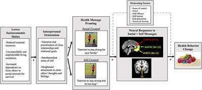 Harnessing Neuroimaging to Reduce Socioeconomic Disparities in Chronic Disease: A Conceptual Framework for Improving Health Messaging